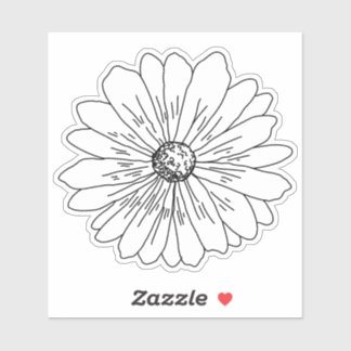 Daisy