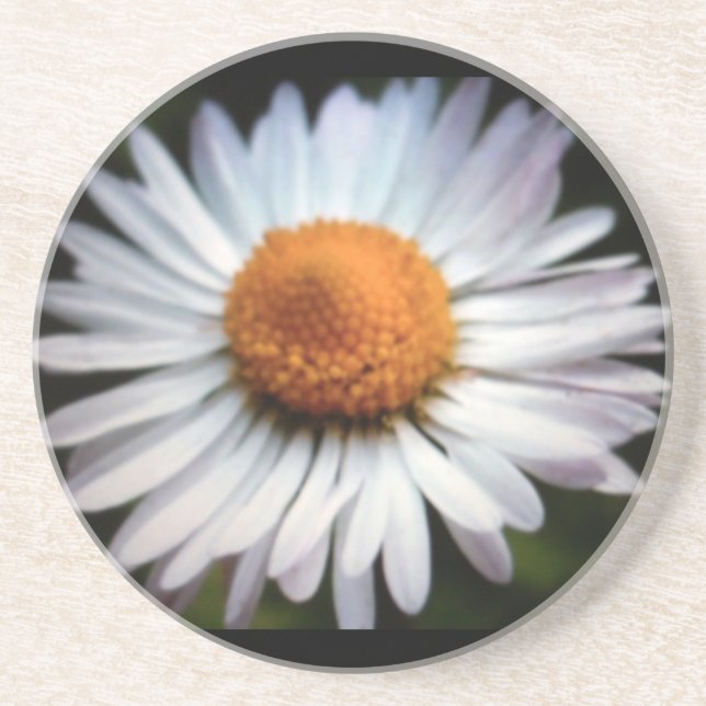 Daisy 1 Coaster (Front)