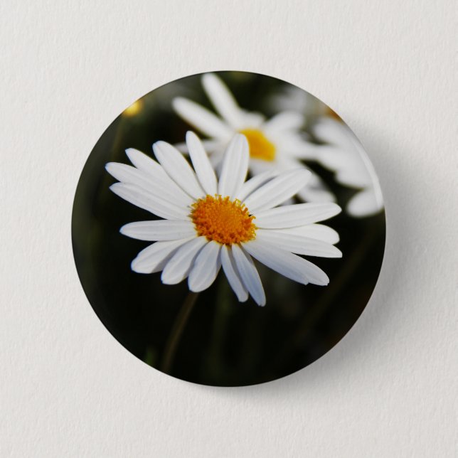 Daisy 6 Cm Round Badge (Front)