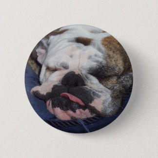 Daisy 6 Cm Round Badge
