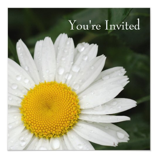 Daisy All Occasion Event Invitation