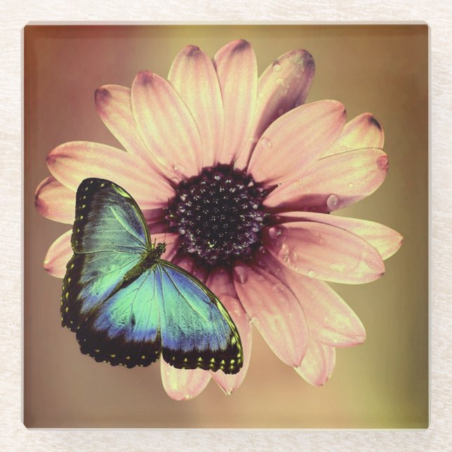 Daisy and Butterfly Glass Coaster (Front)