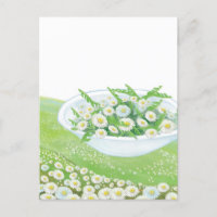 Daisy and Dandelion Spring Salad  Illustration  