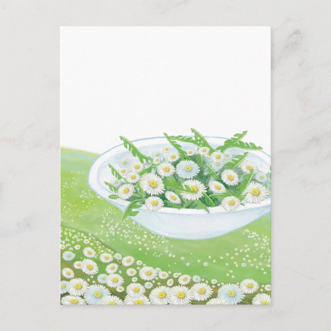 Daisy and Dandelion Spring Salad  Illustration   Holiday Postcard (Front)