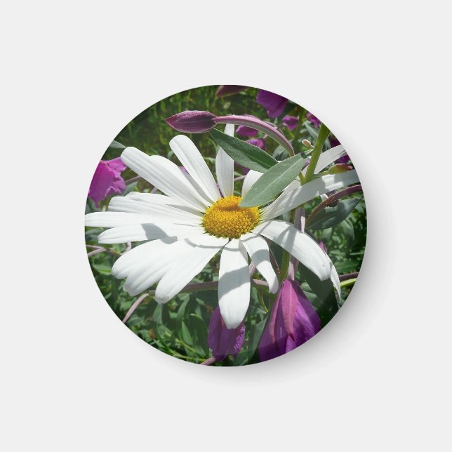 Daisy and Fireweed Wildflower Magnet (Front)