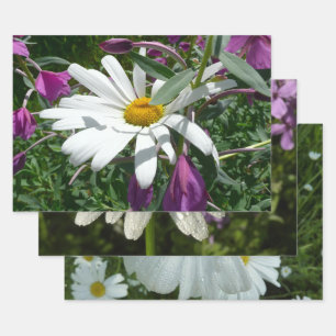 Daisy and Fireweed Wrapping Paper Sheet