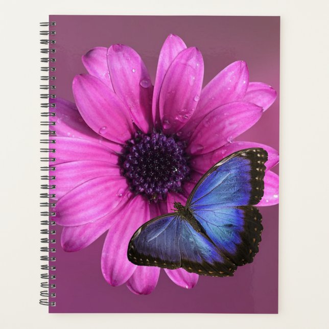 Daisy and Morpho Planner (Front)