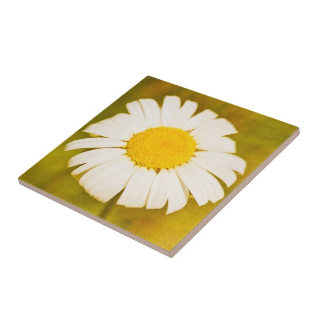 daisy and the lonely summer tile (Side)