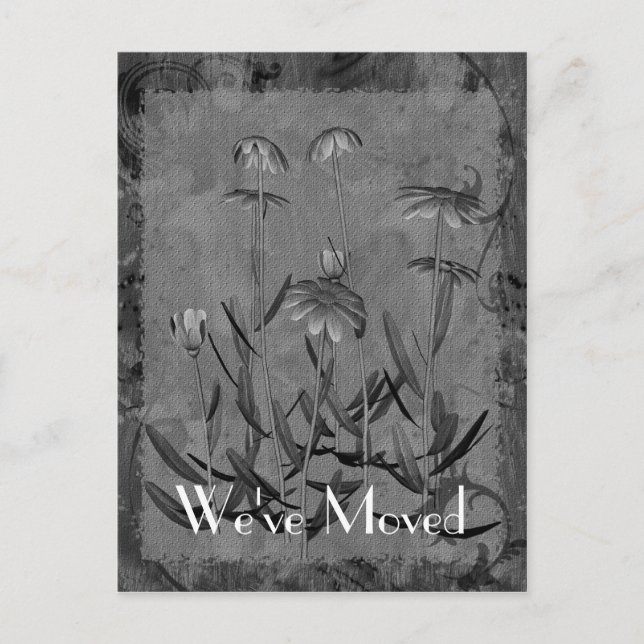 Daisy Art New Address Floral Postcard (Front)