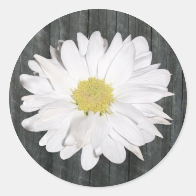 Daisy & Barnwood Sticker (Front)