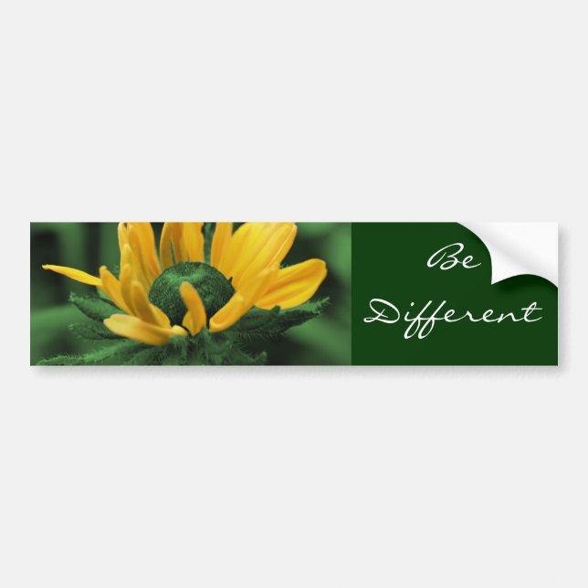 Daisy Be Different Motivational Bumper Sticker (Front)