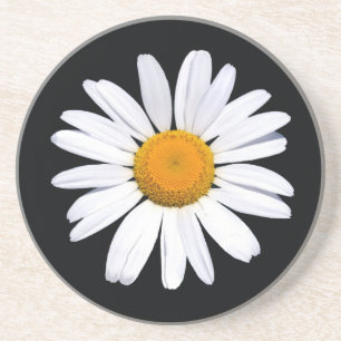 Daisy Black coaster