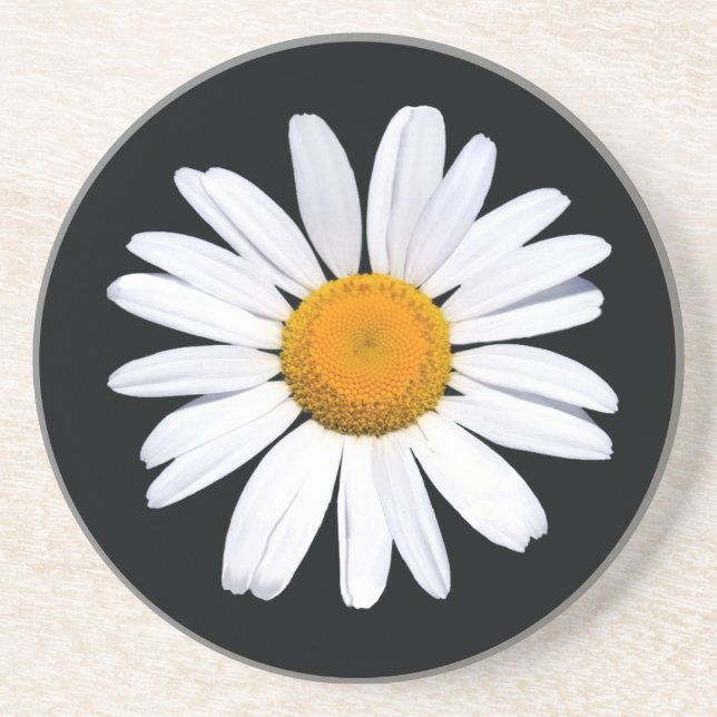 Daisy Black coaster (Front)