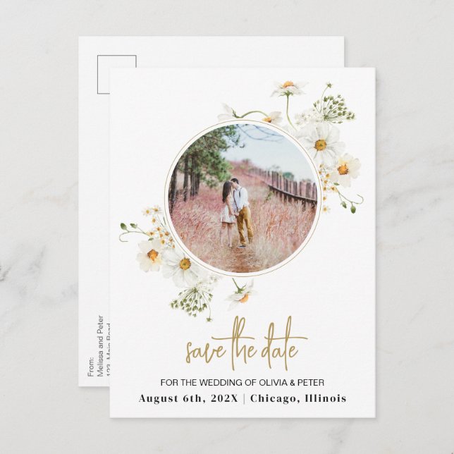 Daisy blooms save the date photo postcard (Front/Back)