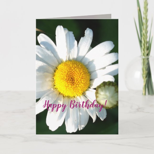 Daisy Blossom Birthday Greeting Card (Front)