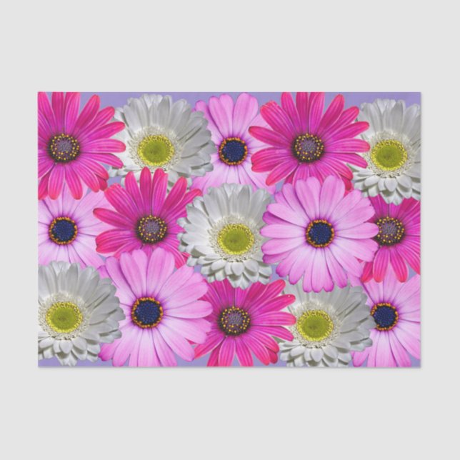 Daisy Bouquet Tissue Paper (Front)