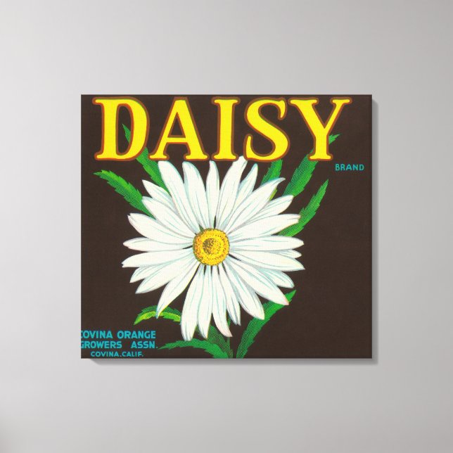 Daisy Brand Citrus Crate Label Canvas Print (Front)
