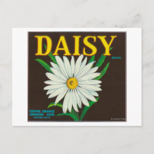 Daisy Brand Citrus Crate Label Postcard