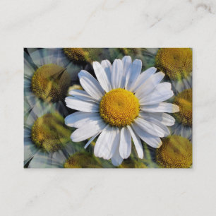 DAISY BUSINESS CARD