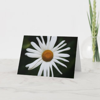 daisy by Larry Coressel Card