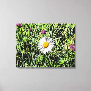 Daisy Canvas Print