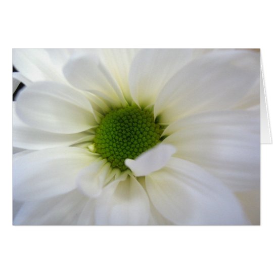Daisy card