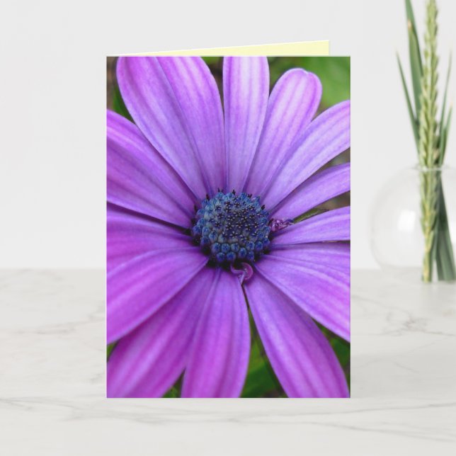 Daisy Card Wild Flowers Custom Greeting Cards (Front)