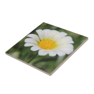 Daisy Ceramic Tile