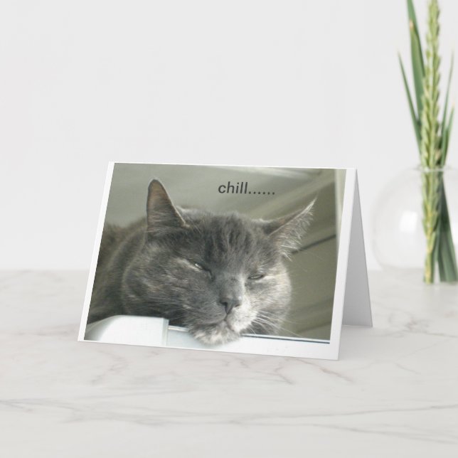 Daisy Chilling Card (Front)