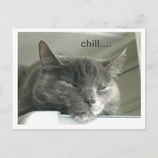 Daisy Chilling Postcard