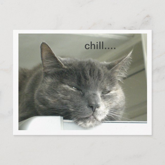 Daisy Chilling Postcard (Front)