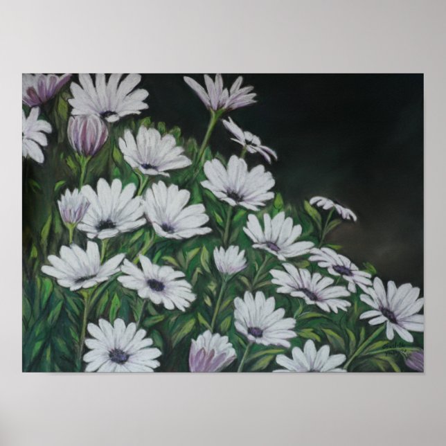 Daisy Chrysanthemum Art Print (Front)