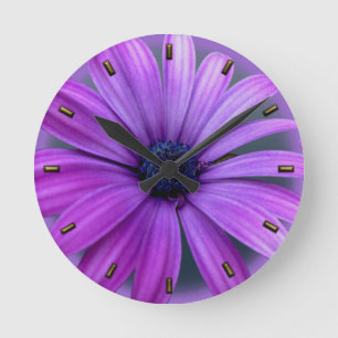 Daisy Clock Purple Daisies Blue Flower Wall Clock