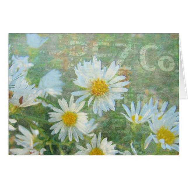 Daisy Co. (Front Horizontal)