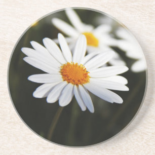 Daisy Coaster