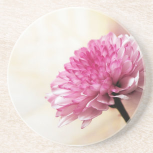 Daisy Coaster