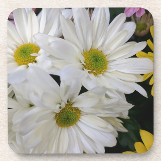 Daisy Coaster (Front)
