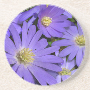 Daisy Coasters Wildflower Purple Daisy Decor