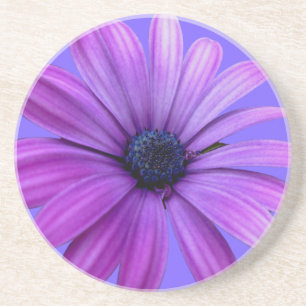 Daisy Coasters Wildflower Purple Daisy Decor