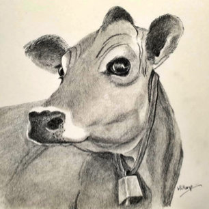 Daisy Cow greetings card