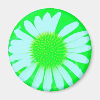 Daisy Crazy Green & White Daisy Magnet