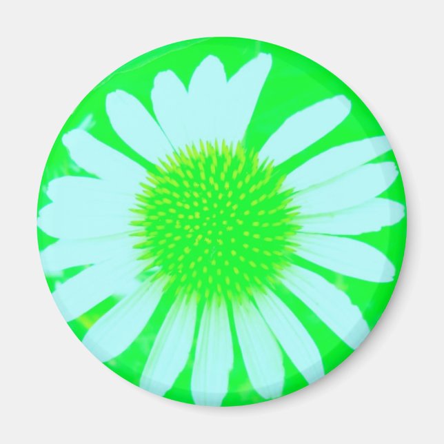 Daisy Crazy Green & White Daisy Magnet (Front)
