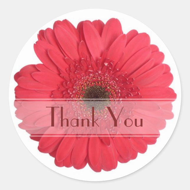 Daisy Custom Floral Sticker (Front)