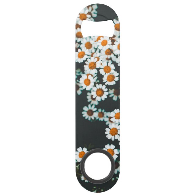 Daisy Daisies Floral (Back)
