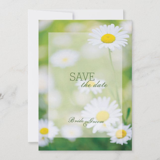 Daisy Daisies Flower Floral Summer SAVE the Date (Front)