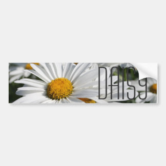 Daisy Daisy Bumper Sticker