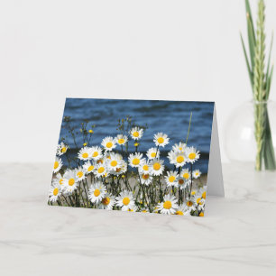Daisy-Daisy Card