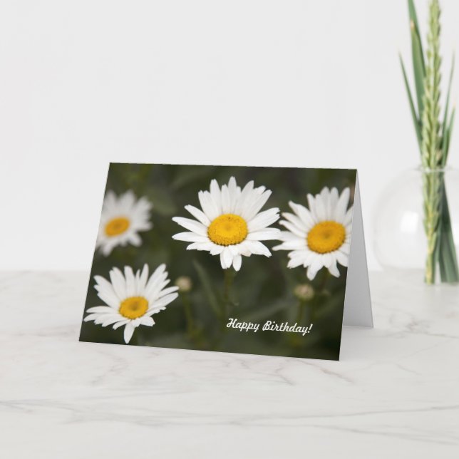 Daisy Daisy Card (Front)