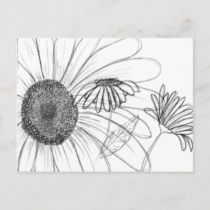 Daisy, Daisy Postcard