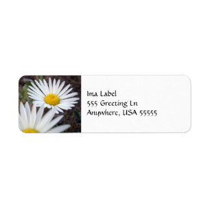 Daisy Day Label